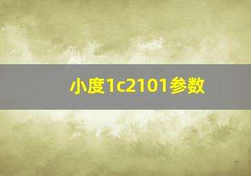 小度1c2101参数