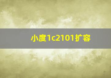 小度1c2101扩容