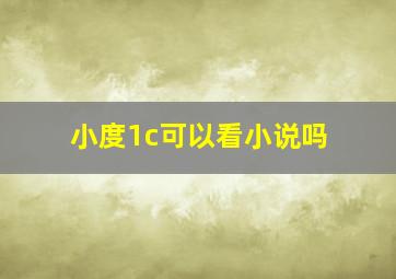 小度1c可以看小说吗