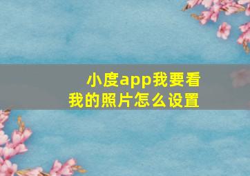 小度app我要看我的照片怎么设置