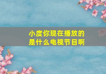 小度你现在播放的是什么电视节目啊