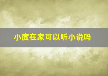 小度在家可以听小说吗