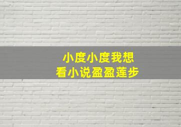 小度小度我想看小说盈盈莲步