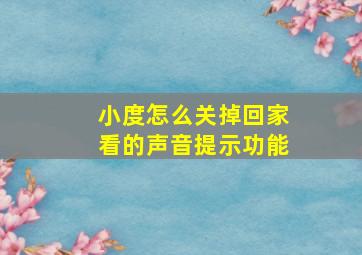 小度怎么关掉回家看的声音提示功能