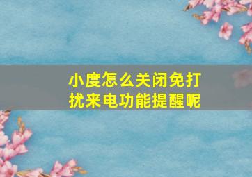 小度怎么关闭免打扰来电功能提醒呢