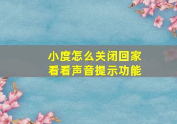 小度怎么关闭回家看看声音提示功能