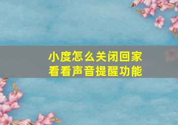 小度怎么关闭回家看看声音提醒功能