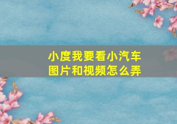 小度我要看小汽车图片和视频怎么弄