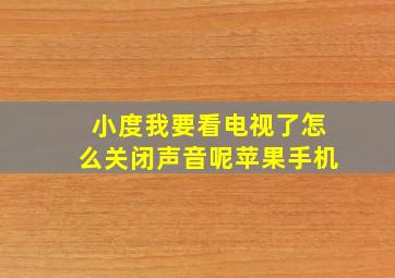 小度我要看电视了怎么关闭声音呢苹果手机