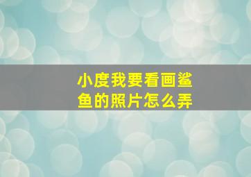 小度我要看画鲨鱼的照片怎么弄