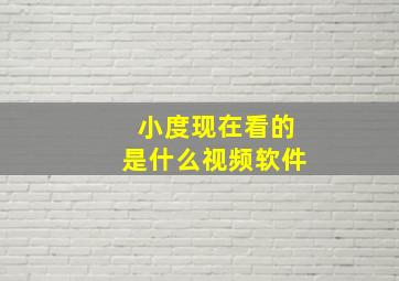 小度现在看的是什么视频软件