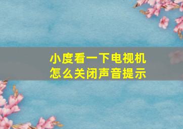 小度看一下电视机怎么关闭声音提示