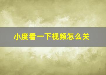 小度看一下视频怎么关