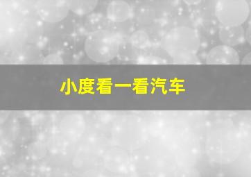 小度看一看汽车