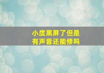 小度黑屏了但是有声音还能修吗