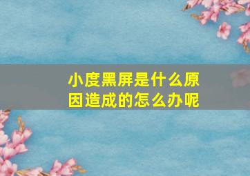 小度黑屏是什么原因造成的怎么办呢