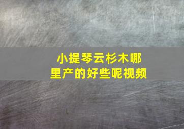 小提琴云杉木哪里产的好些呢视频