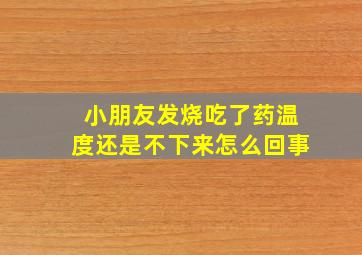 小朋友发烧吃了药温度还是不下来怎么回事