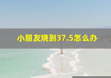 小朋友烧到37.5怎么办