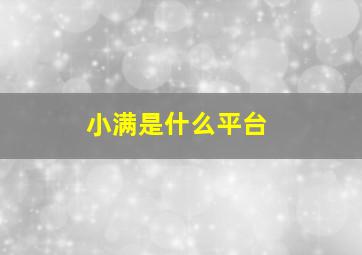 小满是什么平台