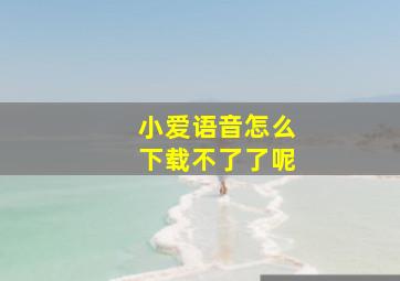 小爱语音怎么下载不了了呢