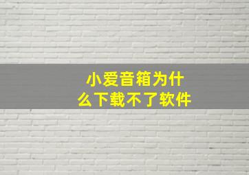 小爱音箱为什么下载不了软件