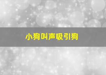 小狗叫声吸引狗