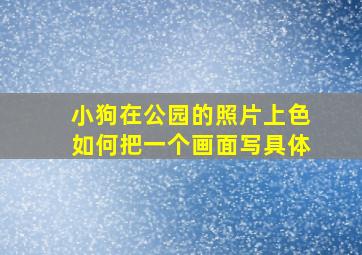 小狗在公园的照片上色如何把一个画面写具体