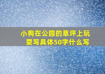 小狗在公园的草坪上玩耍写具体50字什么写