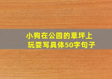 小狗在公园的草坪上玩耍写具体50字句子