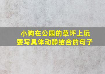 小狗在公园的草坪上玩耍写具体动静结合的句子