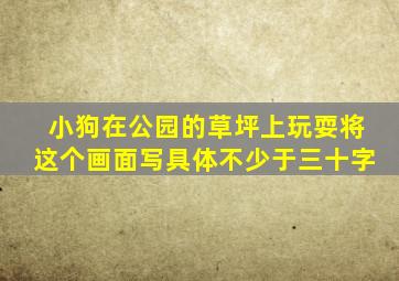 小狗在公园的草坪上玩耍将这个画面写具体不少于三十字