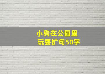 小狗在公园里玩耍扩句50字