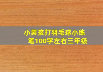 小男孩打羽毛球小练笔100字左右三年级