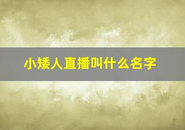 小矮人直播叫什么名字