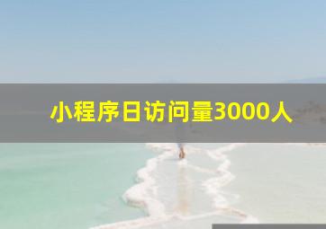 小程序日访问量3000人