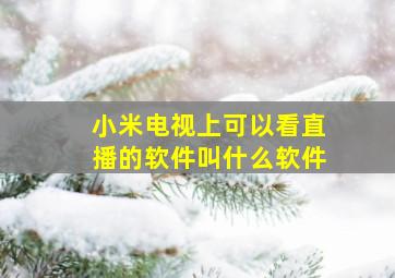 小米电视上可以看直播的软件叫什么软件