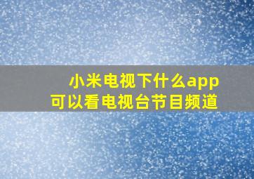 小米电视下什么app可以看电视台节目频道