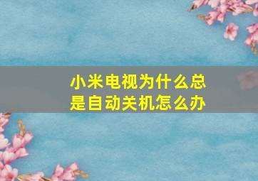 小米电视为什么总是自动关机怎么办