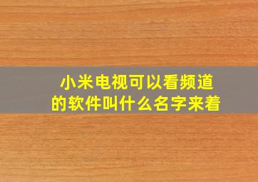 小米电视可以看频道的软件叫什么名字来着