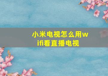 小米电视怎么用wifi看直播电视