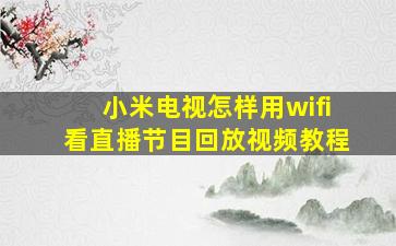 小米电视怎样用wifi看直播节目回放视频教程