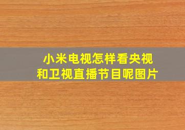 小米电视怎样看央视和卫视直播节目呢图片