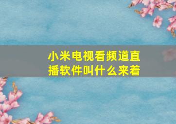 小米电视看频道直播软件叫什么来着