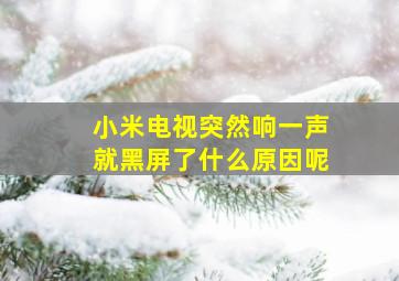 小米电视突然响一声就黑屏了什么原因呢