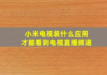 小米电视装什么应用才能看到电视直播频道