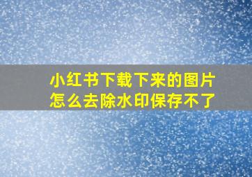 小红书下载下来的图片怎么去除水印保存不了