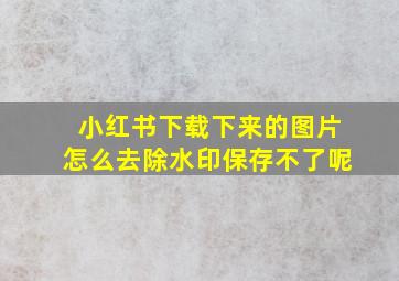 小红书下载下来的图片怎么去除水印保存不了呢