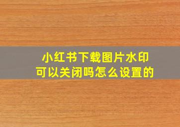 小红书下载图片水印可以关闭吗怎么设置的