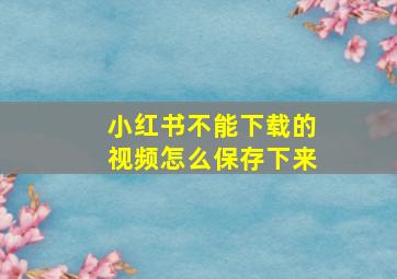 小红书不能下载的视频怎么保存下来